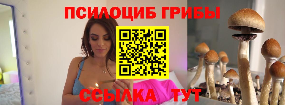 Галлюциногенные грибы GOLDEN TEACHER Шелехов